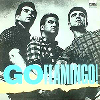 Go Flamingo!
