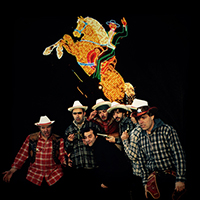 Video-clip e video musicali