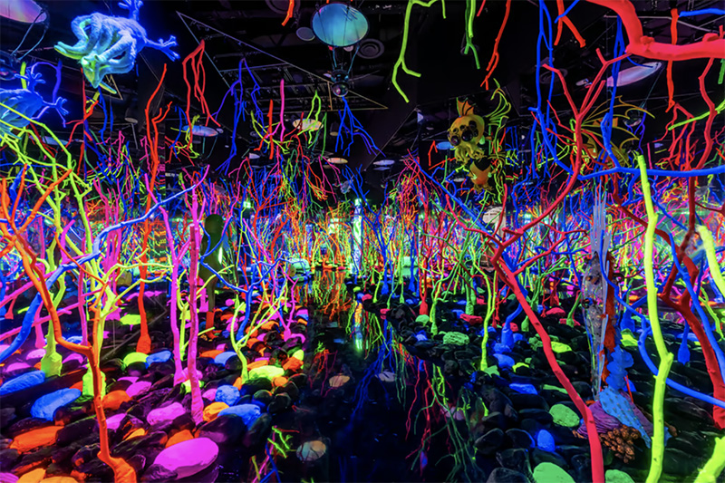 Meow Wolf